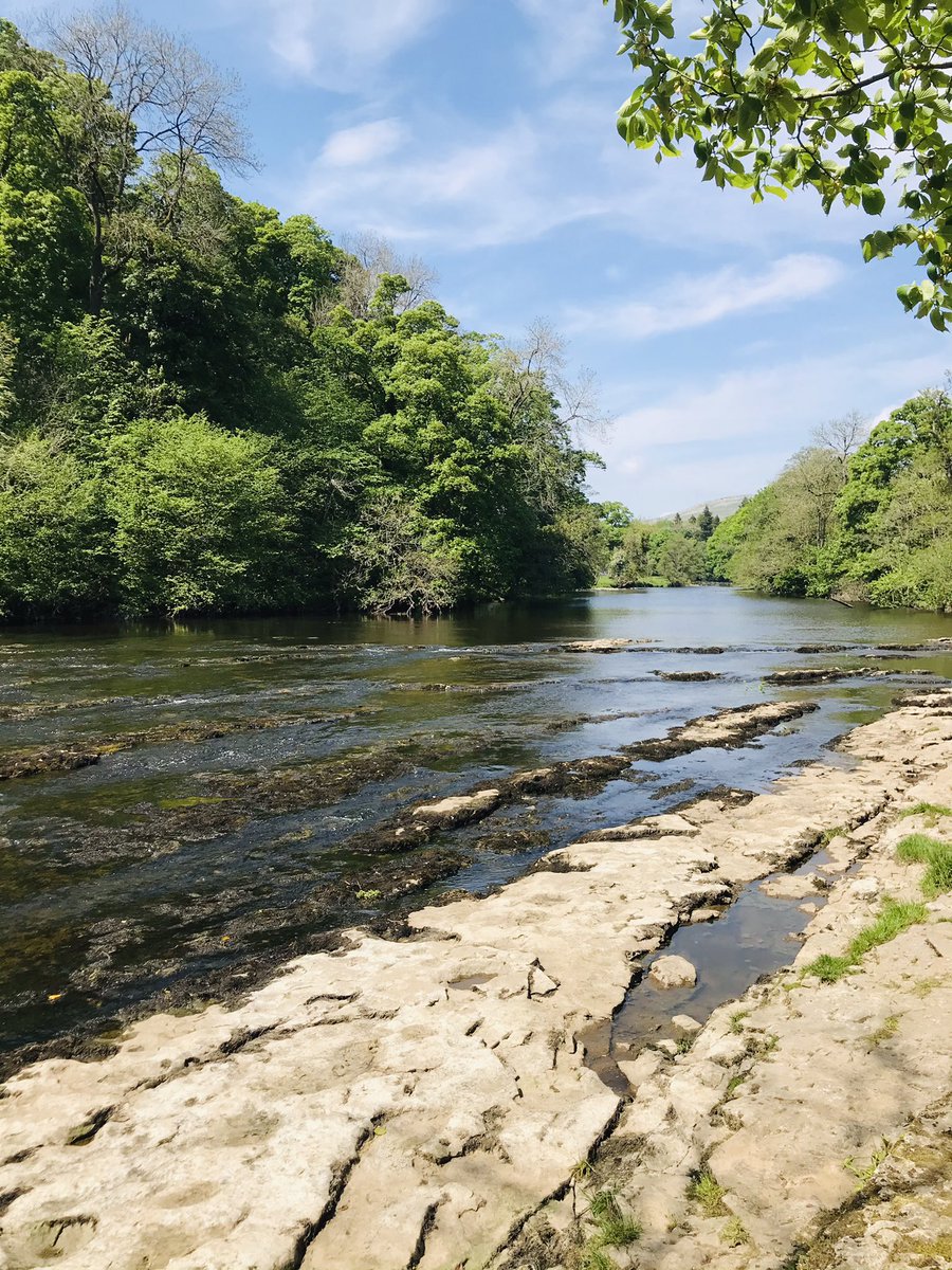 missdickenson75's tweet photo. Glorious day ☀️#walking #reading #driving #yorkshiredales #aysgarthfalls #lowmill @TraceyE_ https://t.co/TV1rJ5MZ9e