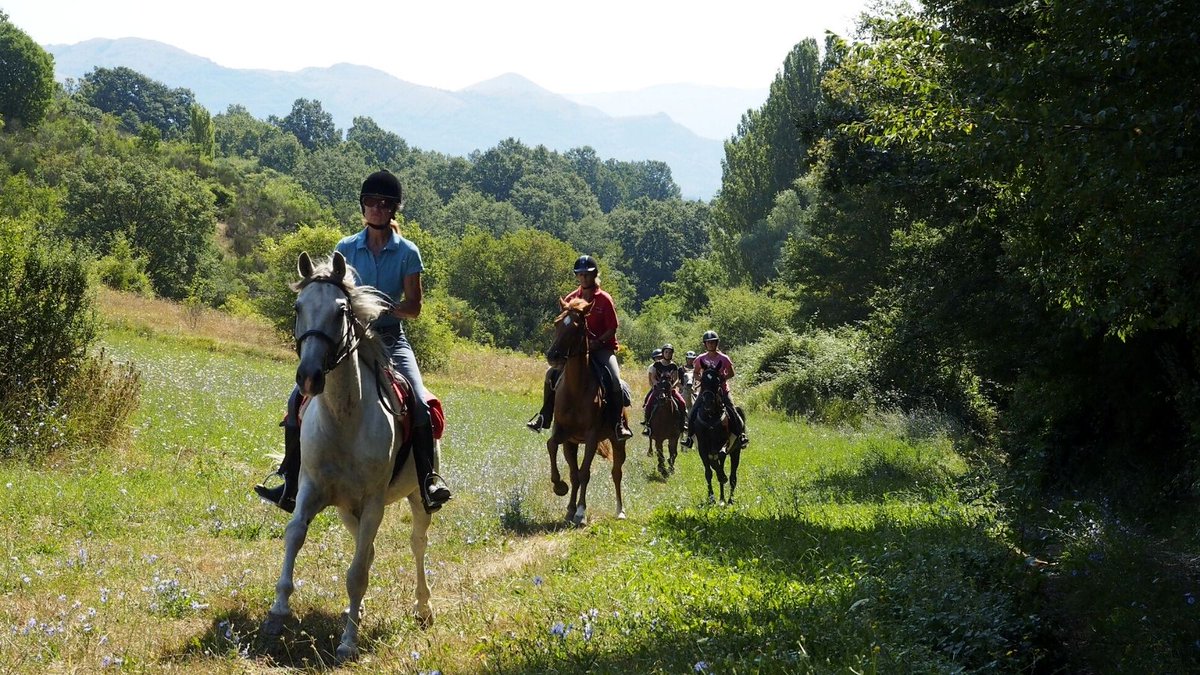 Experience the beauty of the #mountains from the #horseback.
Start the day with a hearty breakfast, getting to know the fellow riders. During the day, explore the gorgeous wilderness. 
The holidays are available for all ability levels. 
bit.ly/3okBJFM