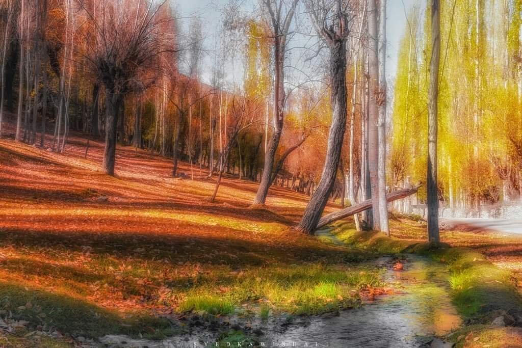 SyedKawishAli's tweet photo. Gilgit Baltistan ❤️ 
RT to show appreciation.
https://t.co/oOdzESxYU8 https://t.co/foRZKUg08P