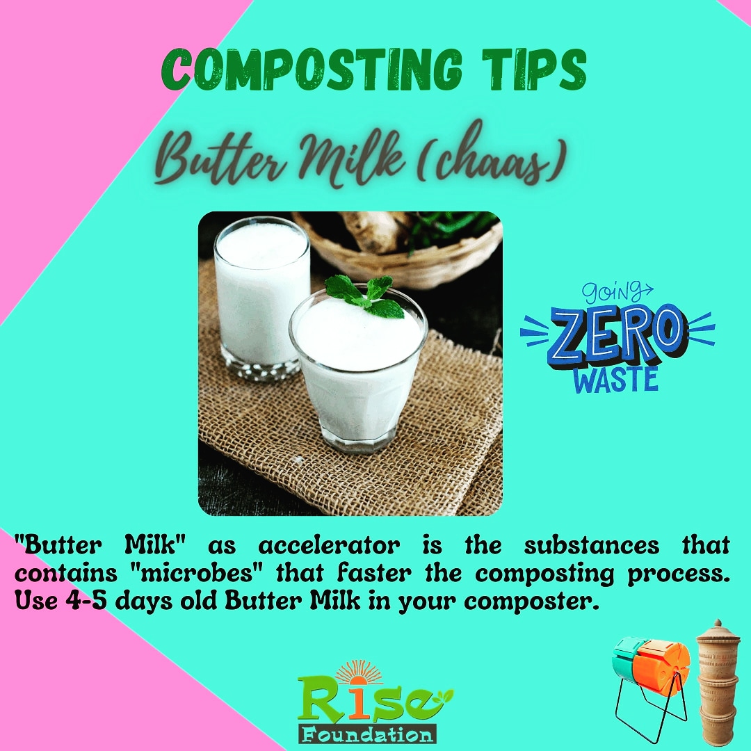 risefound2011's tweet image. Butter Milk(unsalted) as accelerator is the substances that contains &quot;microbes&quot; that faster the composting process. Use 4-5 days old(sore) Butter Milk in your composter. 

For more information or suggestions, you can reach us at 9717096635

#compostingtips
#compostingathome
