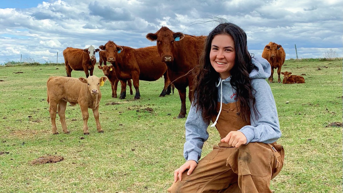 agbiousask's tweet image. GRADUATE SPOTLIGHT 🎓 Meagan Dietrich 

Meagan is graduating at #USask Spring Convocation with a BSA in Agribusiness with a minor in Field Crop Production.

She is the recipient of the William Allen Prize in Agricultural Economics! (1/4) #USaskClassof2021