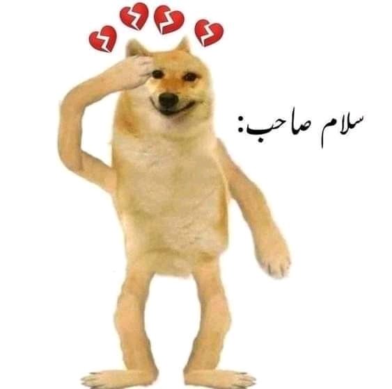 Umar Baig tweet media