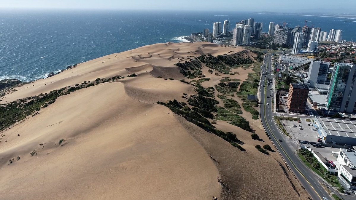 El Campo Dunar de Concón fue declarado Santuario de la Naturaleza en 1993, protegiendo una superficie de 50 hectáreas. La desidia de la autoridad permitió la indiscriminada depredación inmobiliaria a la que hoy hacemos frente ¡La duna está viva! 💪🌅