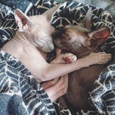 My darling babies. I missed them so much 🥺