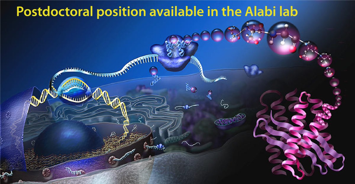 alabilab.com/single-post/we… 
strong background in organic chemistry, bioconjugate chemistry, and/or chemical biology. Follow the link to apply.