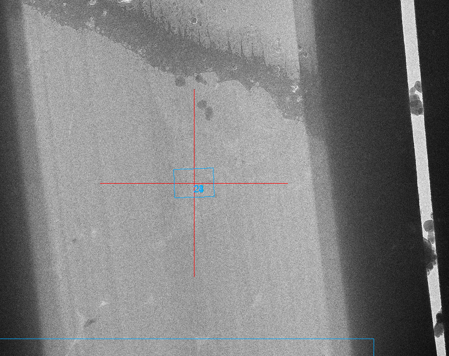 mimi1inh's tweet photo. Wonder what we'll do with our shiny new #CRISPR'ed #malaria parasites? We're doing in situ #cryoET of parasite-infected RBCs on @FitzpatrickLab's @thermofisher #Aquilos #cryoFIB!🦠🔬😄
Wanna join us? We're hiring postdocs/techs!👉https://t.co/w6c3fVcZGt #teamtomo #cryoem pls RT! https://t.co/NtUhdmM5wQ