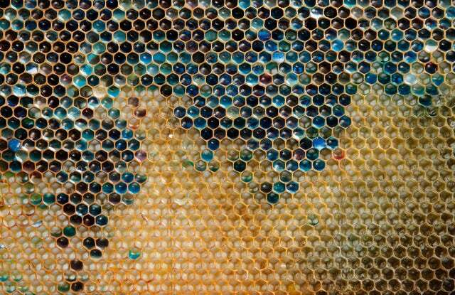 In 2012 French Beekeepers could not solve the mystery of the blue and green colored honey in their beehives until they discovered that the bees were visiting a local M&amp;M factory.