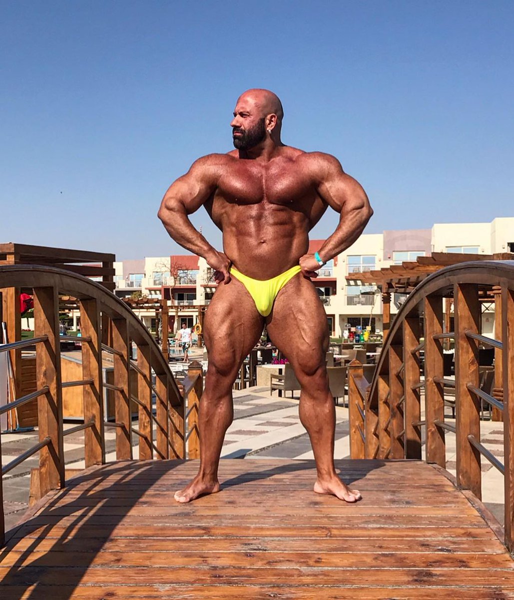 baldmuscle's tweet photo. Steve Benthin AKA Hans Hoffman AKA Perfect Alpha Muscle Daddy 🤤

You like him best in blue or yellow? 🔵🟡 https://t.co/aFdsTnLKGI