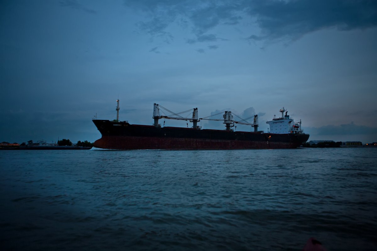Watching a bulk carrier cross the Mississippi.