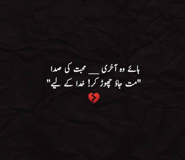 mytutor16's tweet image. 