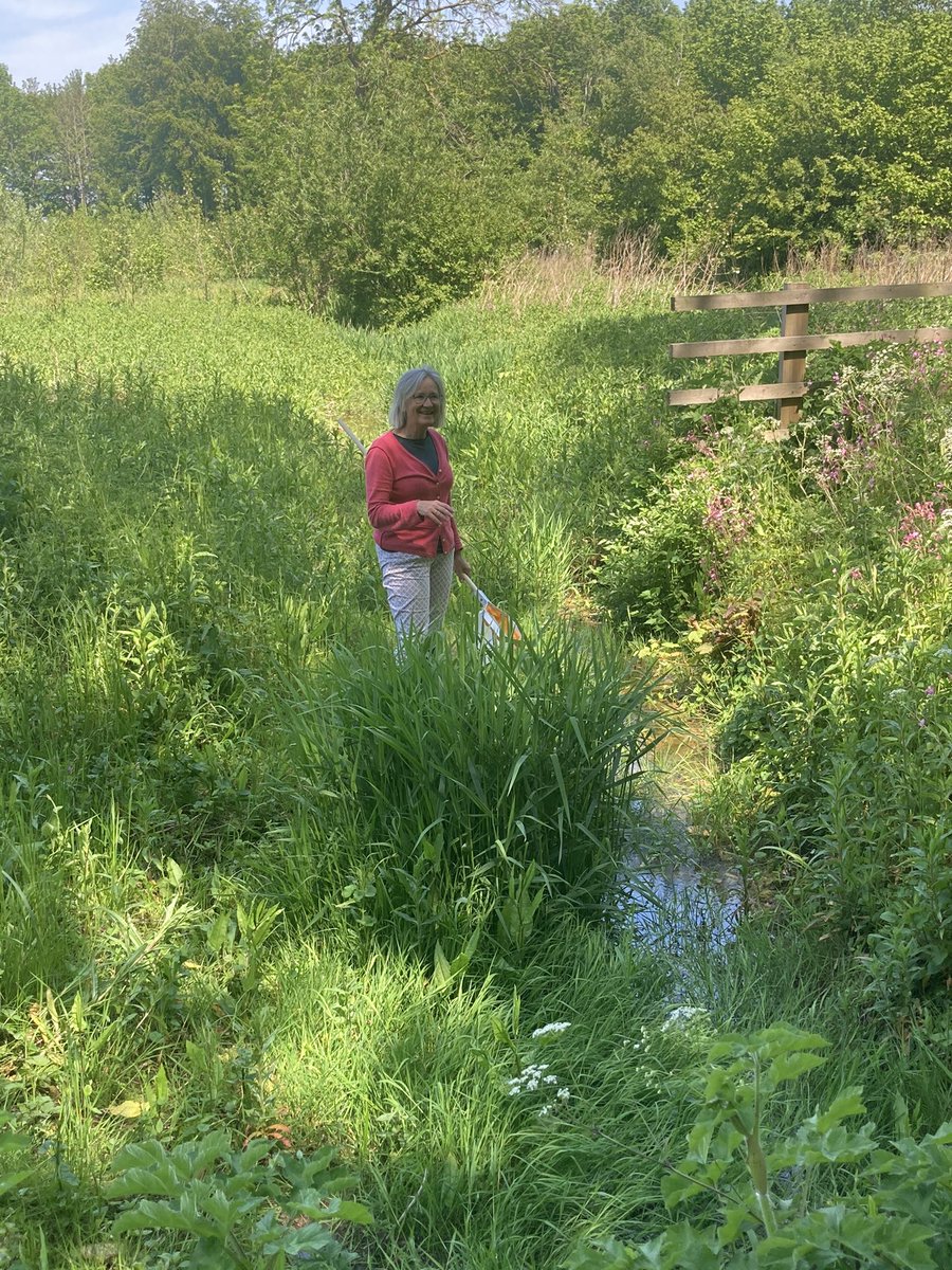 KellyHewsonF's tweet photo. Fanastic day with @BASISRegLtd @AWCoastCountry @LIATLincoln working together with the Agri sector #naturalfloodmitigation #IPM #pestihandling #biofilters #healthysoils #healthycrops #healthywater https://t.co/uAIlhlEzs5