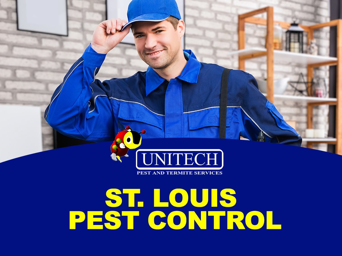 unitechpestcom's tweet photo. We know your home and family are very important to you. We live in the area and understand how pests can disrupt your home environment. Unitech Pest and Termite Services is a family owned business serving St. Louis and the surrounding area. #UnitechPestControl #StLouisPestControl https://t.co/8F3Rs4Oo20