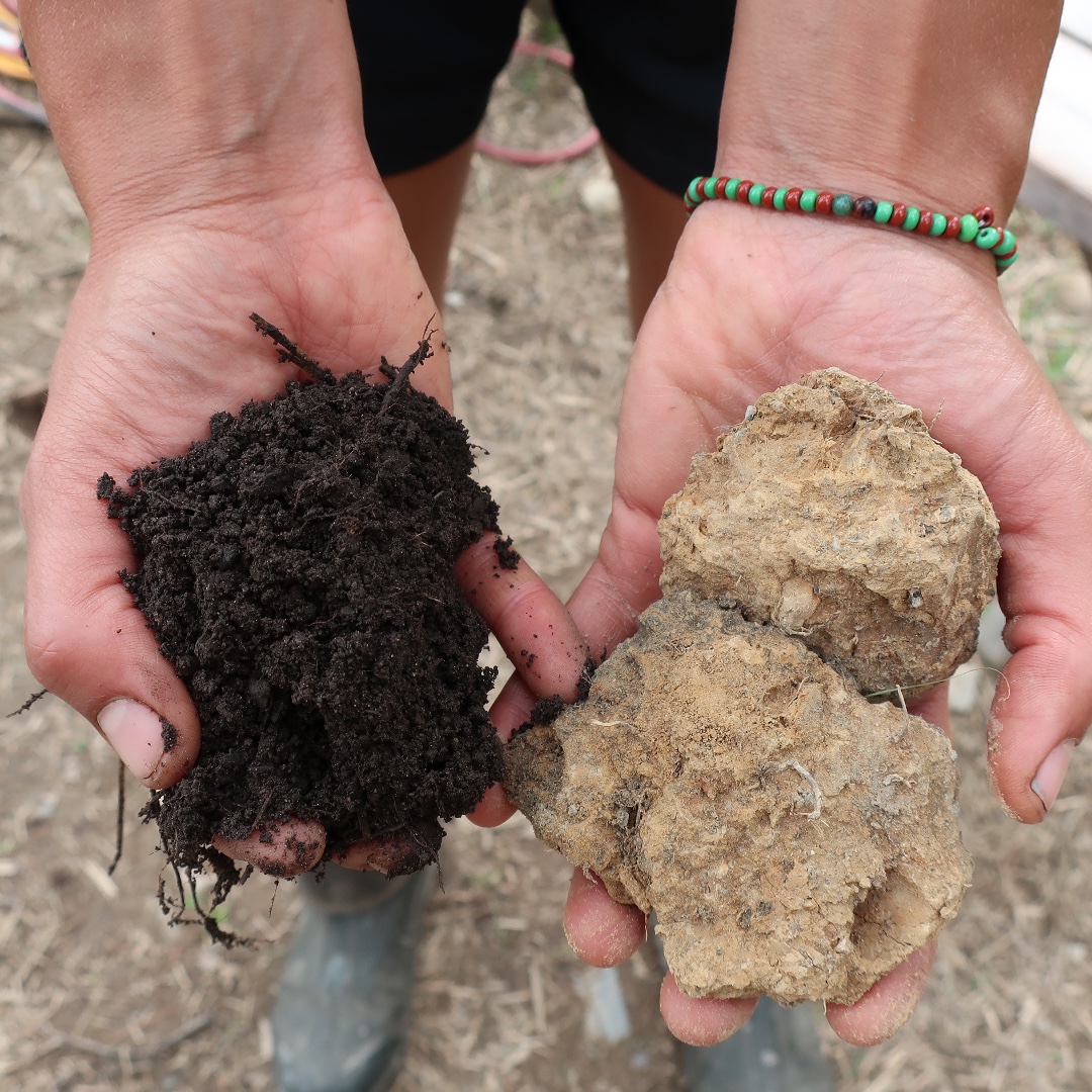 Soul Fire Farm tweet media