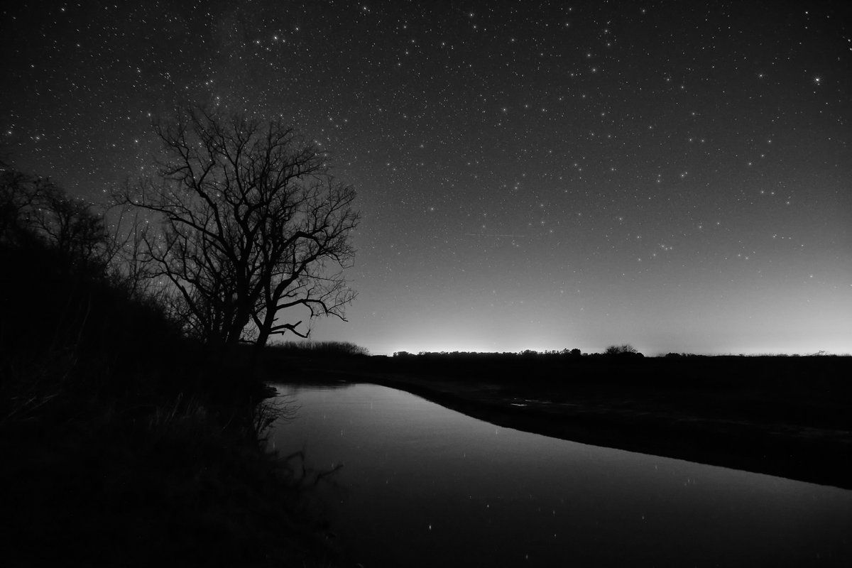 charlydn's tweet image. 