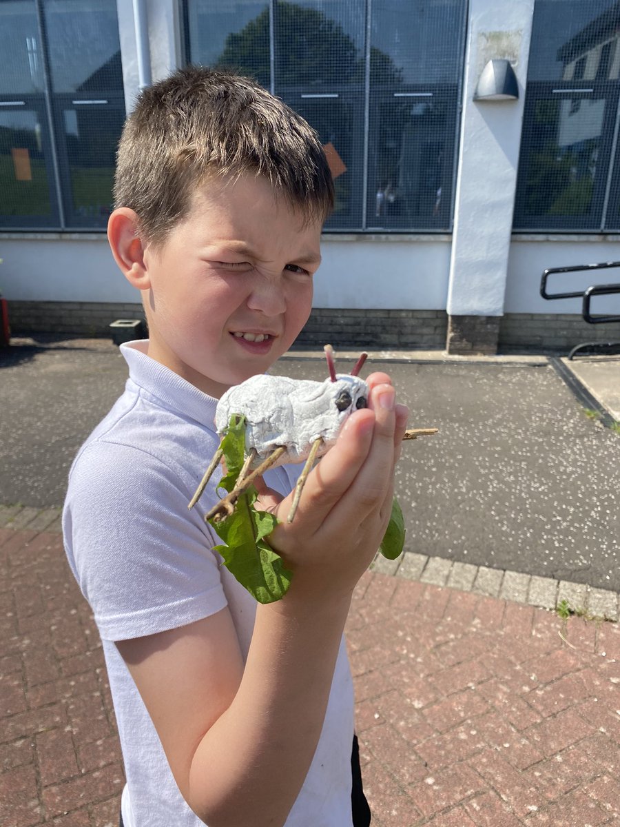 missbowie19's tweet photo. This afternoon we worked with @Belvillegarden and learned about mini beasts by identifying them and then creating models. Thank you for making our afternoon so much fun! 🕷🐜🪱🐌 @StMichaelsP6_5 @SMPG1964 https://t.co/WiHdgJpljm