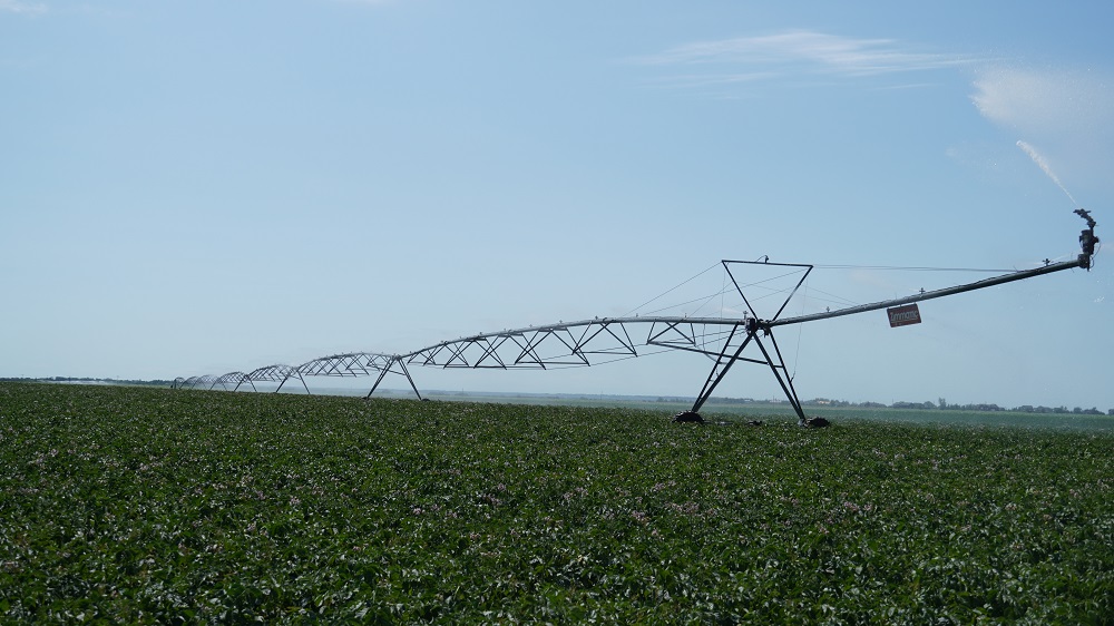 We’ve increased funding for the Irrigation Development Program to allow irrigators to access more funding for projects. Both district and non-district irrigators can now access up to $500,000 under the program. #SaskAg saskatchewan.ca/business/agric…
