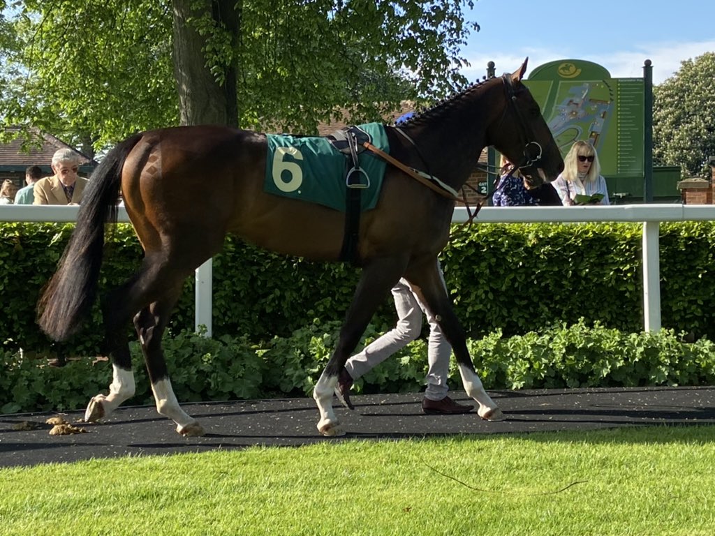 Ripon Races (@riponraces) on Twitter photo Runners are in the parade ring for our the British Stallion Studs <a href="/BritishEBF/">British EBF</a> Novice Stakes (a <a href="/GB_Bonus/">Great British Bonus</a> race) and the best turned out award goes to the <a href="/karl_burke/">Karl Burke</a> representative, Royal Emerther. Runners are in the parade ring for our the British Stallion Studs <a href="/BritishEBF/">British EBF</a> Novice Stakes (a <a href="/GB_Bonus/">Great British Bonus</a> race) and the best turned out award goes to the <a href="/karl_burke/">Karl Burke</a> representative, Royal Emerther.