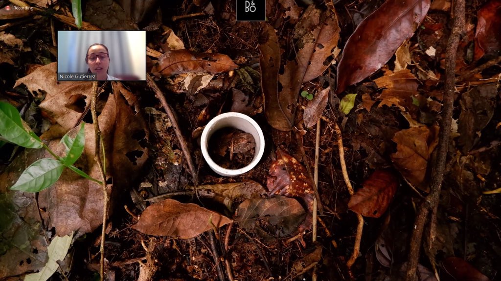 ForestWarming's tweet photo. On the second day of @LUQLTER annual meeting, our plant physiology technician, Nicole Gutiérrez-Ramos (@Nicole_Gutierrz), presented on a new project component on litter roots respiration.
#rootresearch #warmingexperiment #forestwarming https://t.co/nxG8AqXiLv