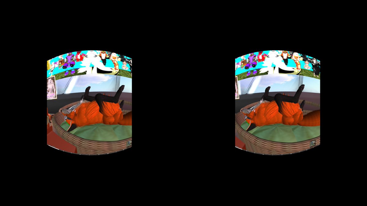 HiyokoEaglet's tweet photo. VR実物大? 鳥と、某SIM主のキツネ。思ってたよりもでかかった。
#VR180
#VRsnap
#SecondLife https://t.co/8ESLamFLOz