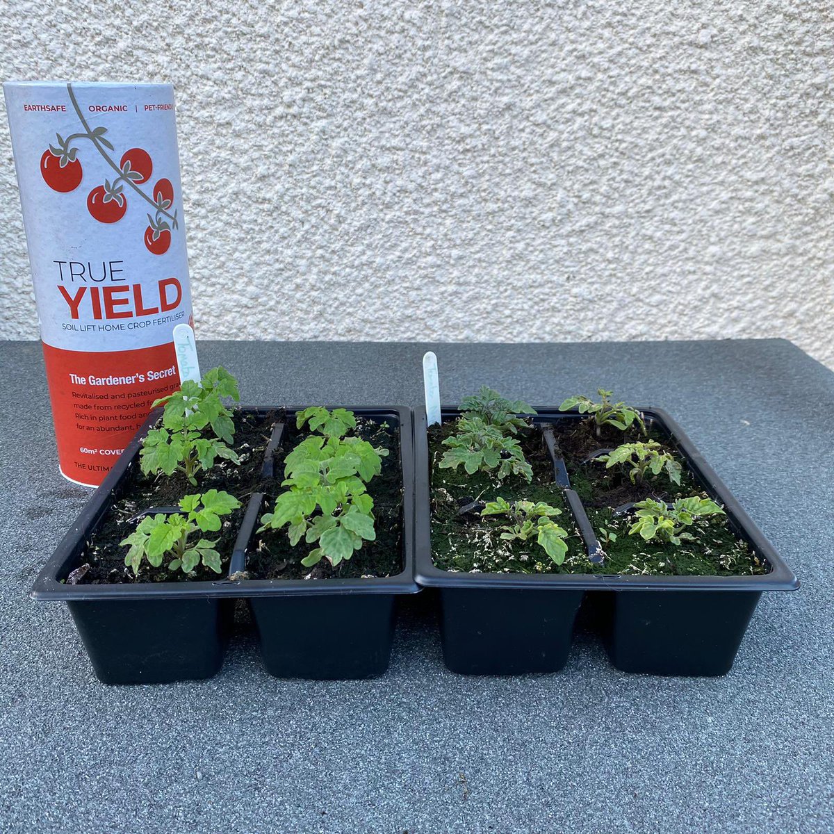 truegardenrange's tweet photo. After a slow start to the Spring we could all do with a helping hand, see what the The True Garden Range can do for your garden. Available from @LawnAssociation https://t.co/M4jsZd3Fxs