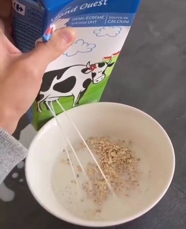 cow_coach's tweet photo. Mmmm, lekker vers😂 https://t.co/o1Vmbe3tPx