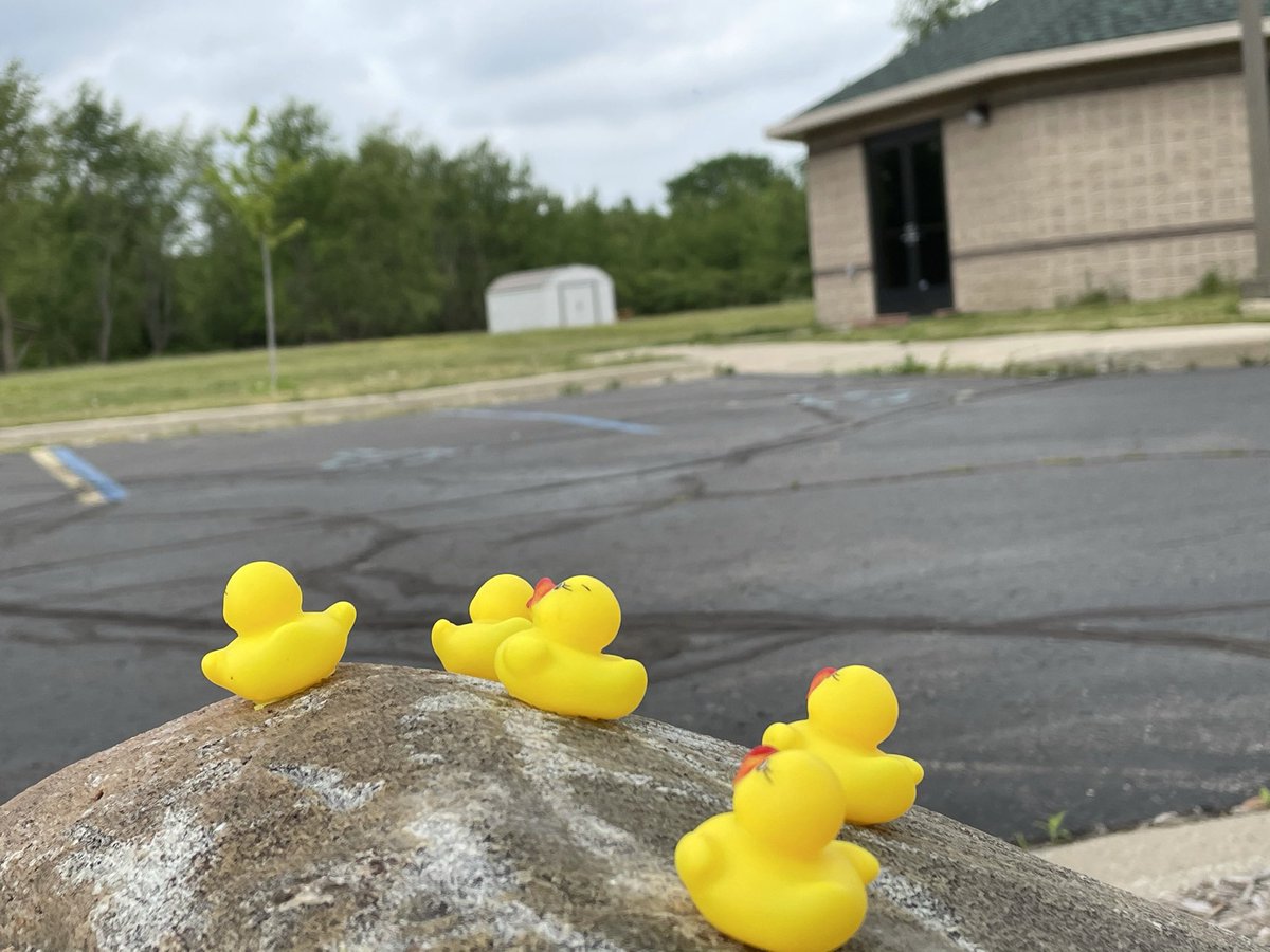 ModifiedLansing's tweet photo. The ducks we summoned are almost here! 5 More Days! https://t.co/d2A361LCd6