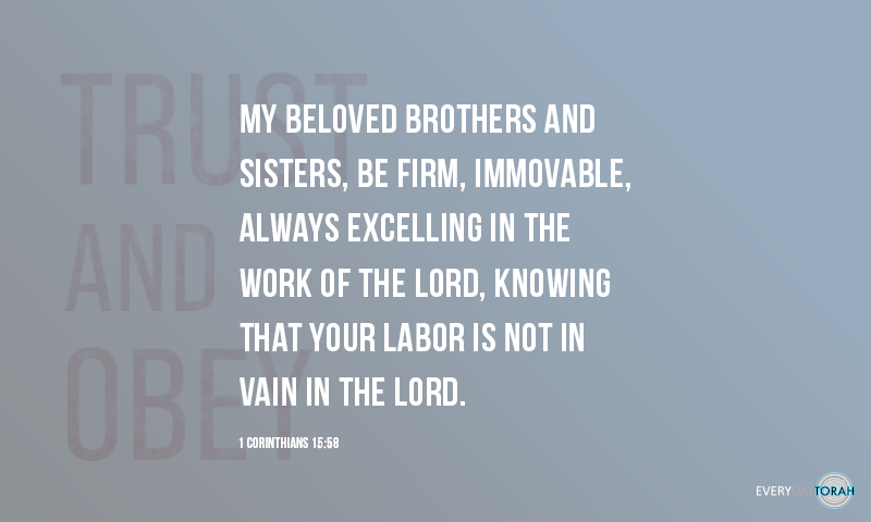 EverydayTorah's tweet photo. Trust and Obey

My beloved brothers and sisters, be firm, immovable, always excelling in the work of the Lord, knowing that your labor is not in vain in the Lord (1 Cor 15:58).
.
.
.
.
#EverydayTorah #Beloved #Corinthians #Brothers #Sisters #Firm #Excelling #Labor #InTheLord #tk https://t.co/SUtpIyPUSK