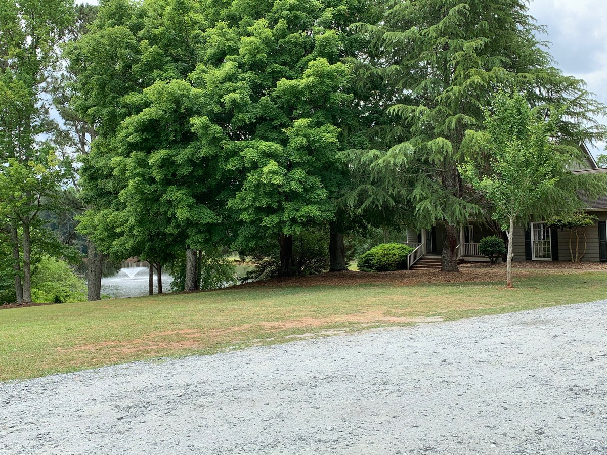 Picnic at the park doesn’t just sound fun- it was fun! Love that growing up on Ebenezer Rd connects me to my favorite author <a href="/anniefdowns/">Annie F. Downs</a>