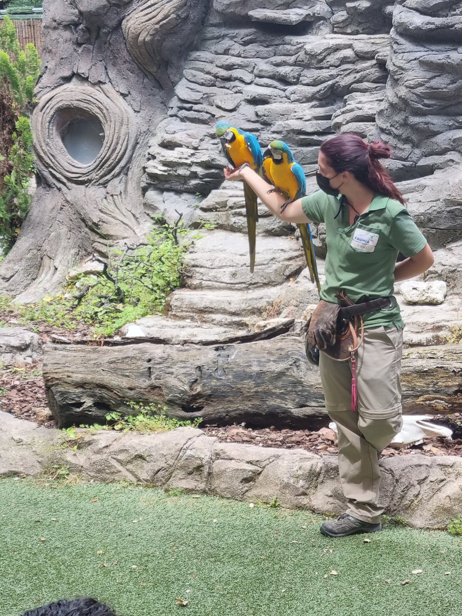 Después de un gran día,  toca volver al cole. Gracias por todo @parquefaunia. <a href="/HbstJuana/">JuanaPThbst</a> <a href="/Patricia_HBST/">Teacher_Patricia</a> <a href="/HBSTORREJON/">Humanitas Torrejón</a>