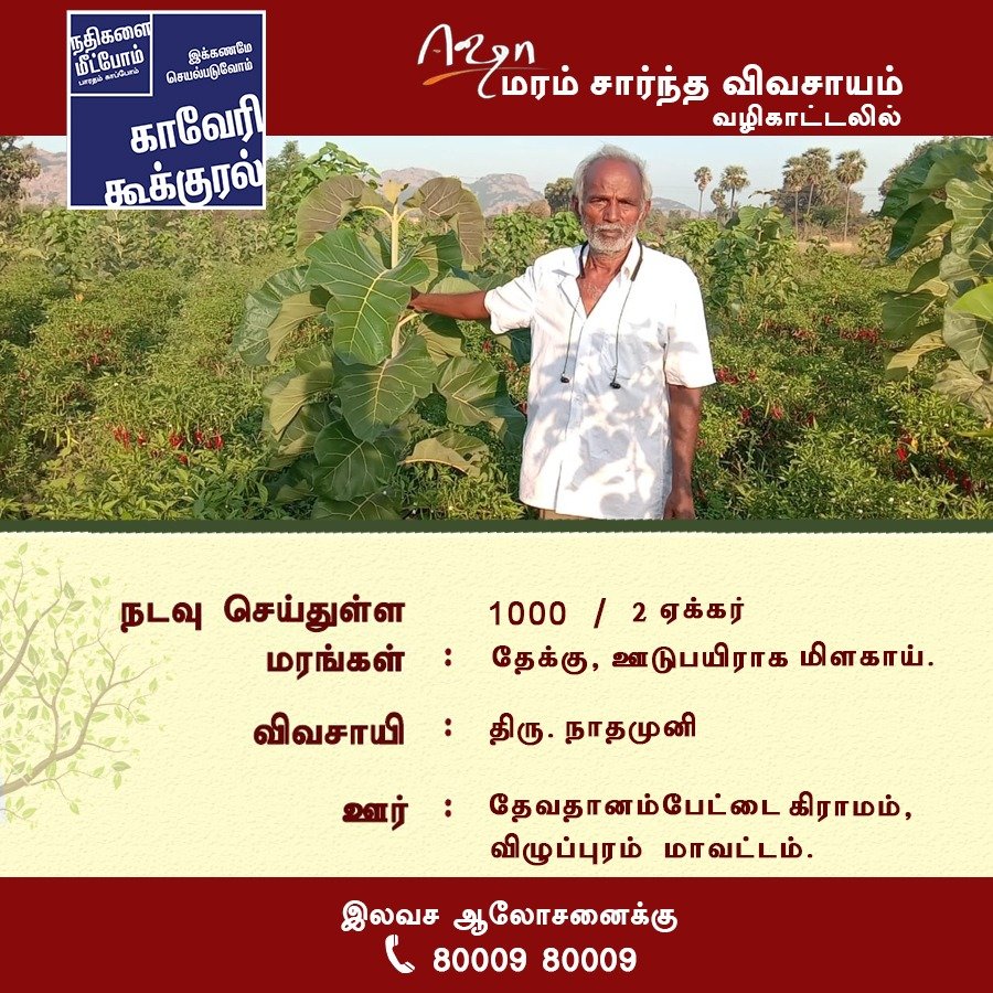 IshaBased's tweet photo. *காவேரி கூக்குரல் பயணத்தில் இன்றைய விவசாயி🌱*

#விழுப்புரம் மாவட்டத்தைச் சேர்ந்த #திரு நாதமுனி அவர்கள் வருவாய் தரக்கூடிய மரங்களை நடவு செய்துள்ளார்.

ஆலோசனைக்கு
80009 80009

#CauveryCalling ||
#IshaTreeBasedAgriculture ||
#காவேரி_கூக்குரல் || 
#ஈஷா_மரம்_சார்ந்த_விவசாயம் || https://t.co/bPmUJOaT8f
