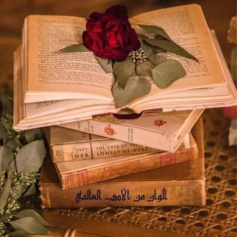 chakerayeb's tweet image. 