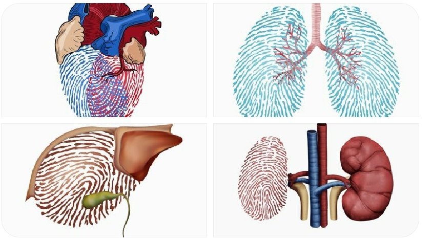 Because every day should be your day. Thanks to you for choosing to give life in the worst moments. #nationaldonorsday #donorday #organdonor #tissuedonor #poweredbyESOT #transplanttwitter @ESOTtransplant @ISHLT