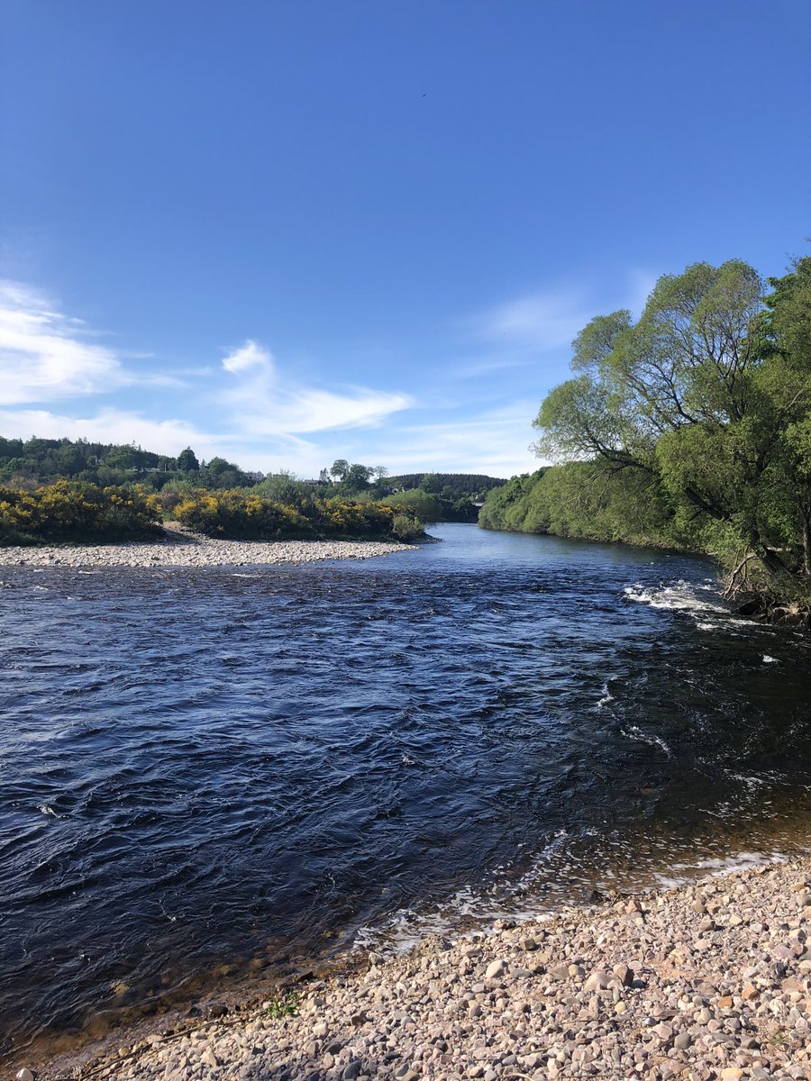 Up in <a href="/emmie_cowie/">Em</a> country today. #speyside