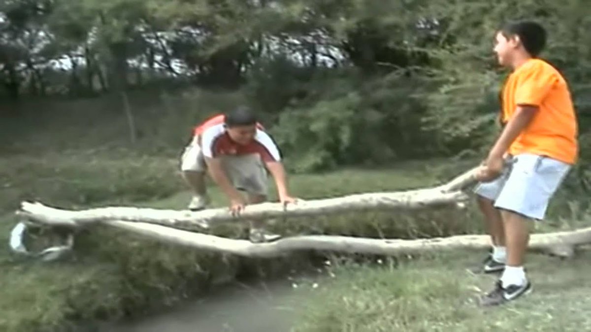SrMasto113's tweet photo. viajero del tiempo: *mata una mosca*

El niño de naranja: "Jaja era broma Edgar, puedes pasar" https://t.co/topSTtqaNH