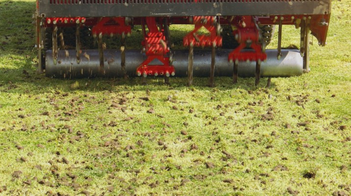 Keep your grass healthy!
*Aerate your lawn every year to improve oxygen flow and check the pH balance of your soil to ensure it stays healthy. 
*Fertilize regularly
*Remove weeds as they steal nutrients from your grass.
Call us today for all your landscaping needs 
760-650-3120.