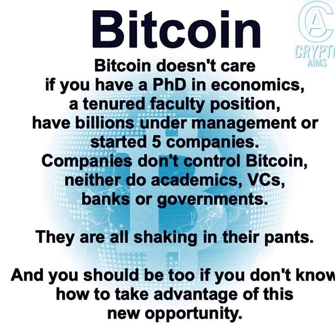 TimmyTriza's tweet image. 