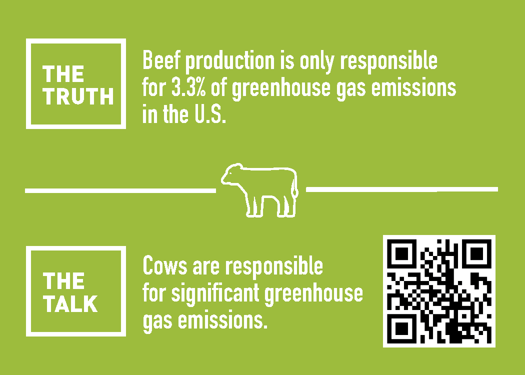 This week's #winetrailwednesday has us hungry! Check out the roasted beef and garlic herb cheese crostini and learn more about Missouri beef production at findourcommonground.com/farmers-table/.