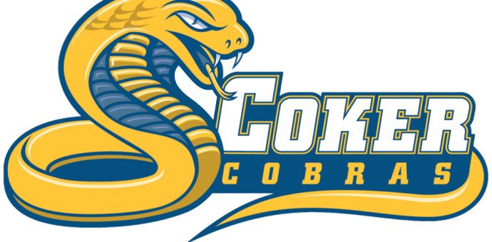 Ryan Djoussa tweet media