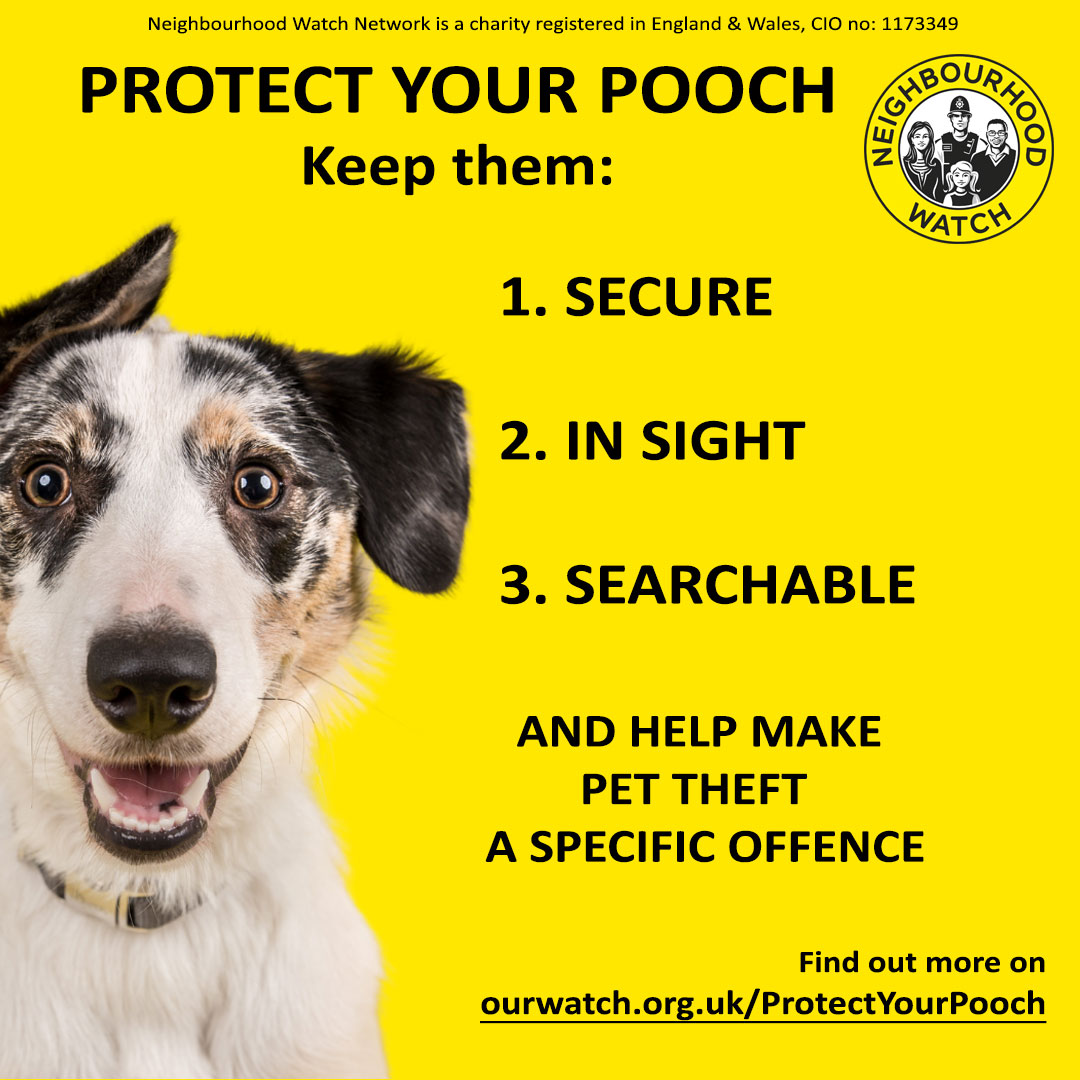 Missed the #dogtheft webinar ? Help 
#protectyourpooch by clicking on this link to find be out more:
ourwatch.org.uk/webinars @N_Watch @GreenwichNWatch #dog #pet