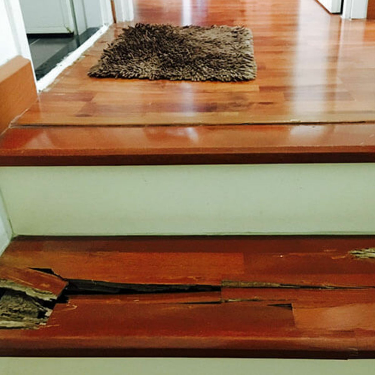 tpcfumigation's tweet image. That's termites. They're silent destroyers. They can suprise you and leave you with no option but to replace the destroyed property
#WeFumigate #WeExterminate #WeControl