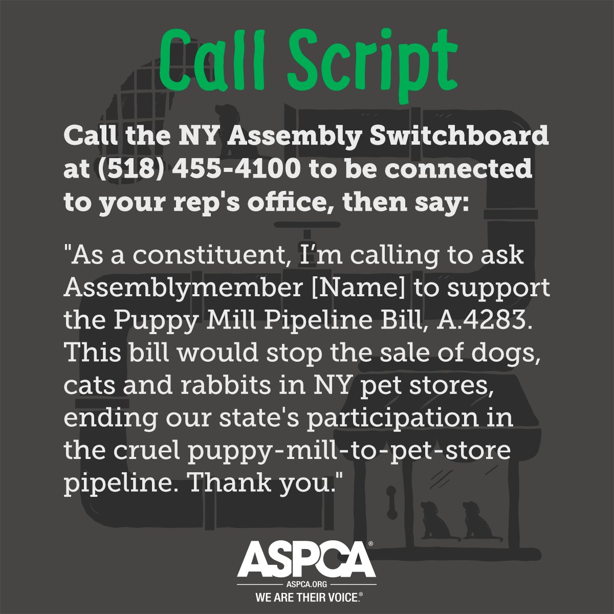 NY animal lovers: we have ONE WEEK LEFT to pass the #PuppyMillPipeline Bill &amp; end the sale of cruelly bred pups in NY pet stores. Please call your Assemblymember TODAY to ask them to pass A.4283 before the end of session June 10th! Call 518- 455-4100! <a href="/NYSA_Majority/">NY Assembly Majority</a>