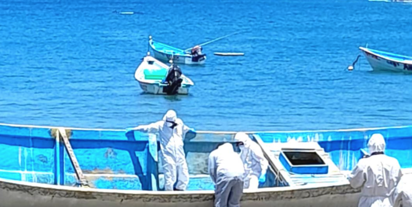 Determinan de dónde salió la embarcación con cadáveres en Trinidad y Tobago 2 🟣Qué Pasa en Venezuela on Twitter: "#NoticiasVenezuela #embarcación #encontrada Determinan de dónde salió la embarcación con cadáveres en Trinidad y Tobago. https://t.co/P0JxmAoYML. Vía: #Editor… https://t.co/77DocHG851"
