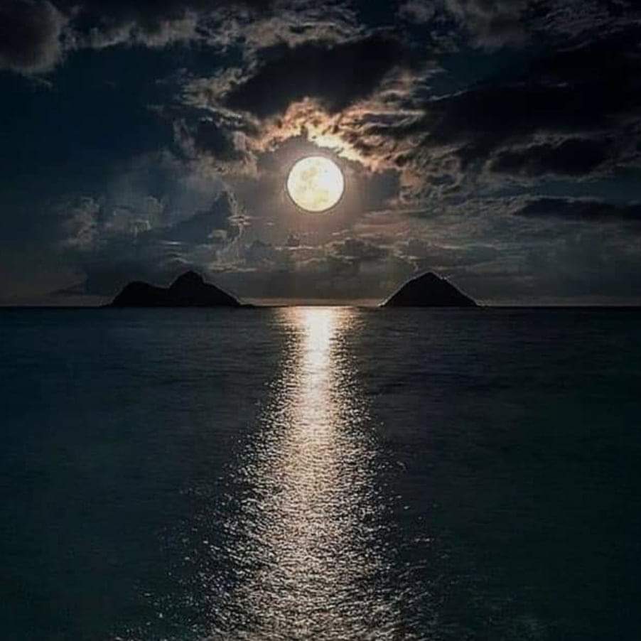 Лунная дорожка на воде. Лунный пейзаж. Ночное море. Огромная луна. Полная луна.