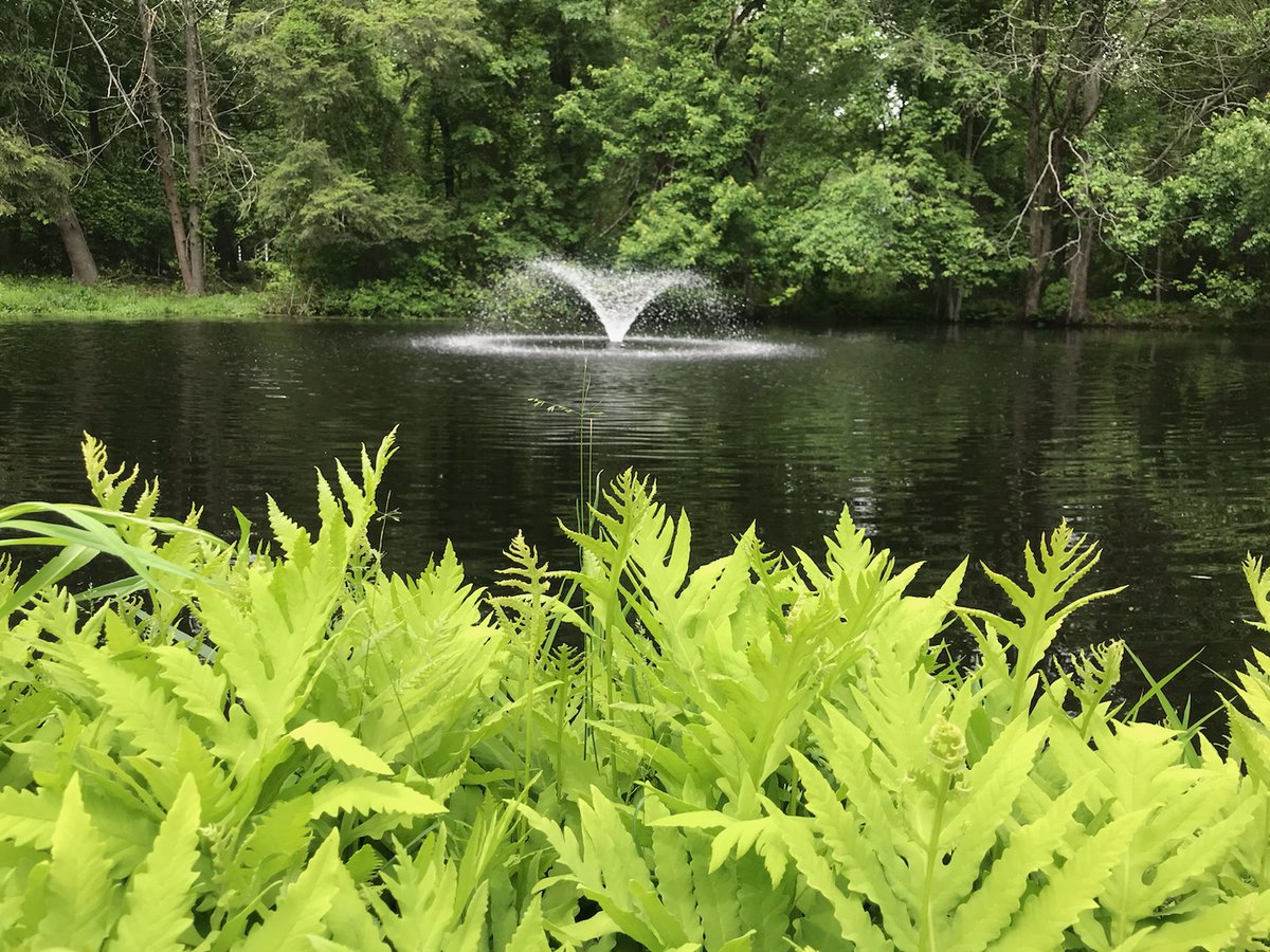 thepondandlake's tweet image. The Kasco Marine 2400 VFX aerating fountain with the classic &quot;V&quot; spray pattern in Westport, CT.

#aerationsolution #waterfountain #waterfountainphotography #backyardpondlife #pondview #westportconnecticut #westportcthomes #smallponds #homeponds #wateraerator #fairfieldcountyct