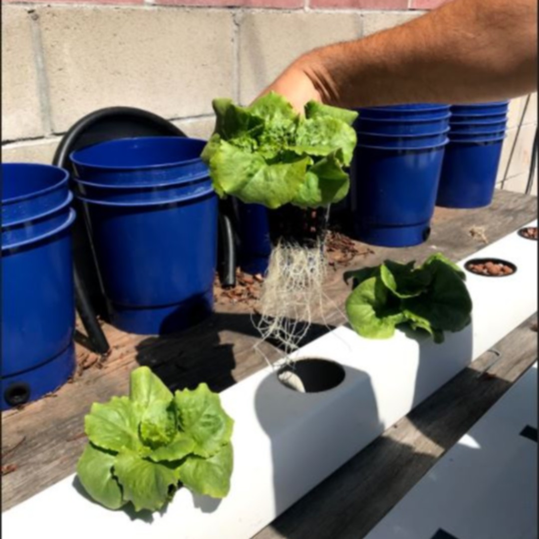 Urban Growth tweet media