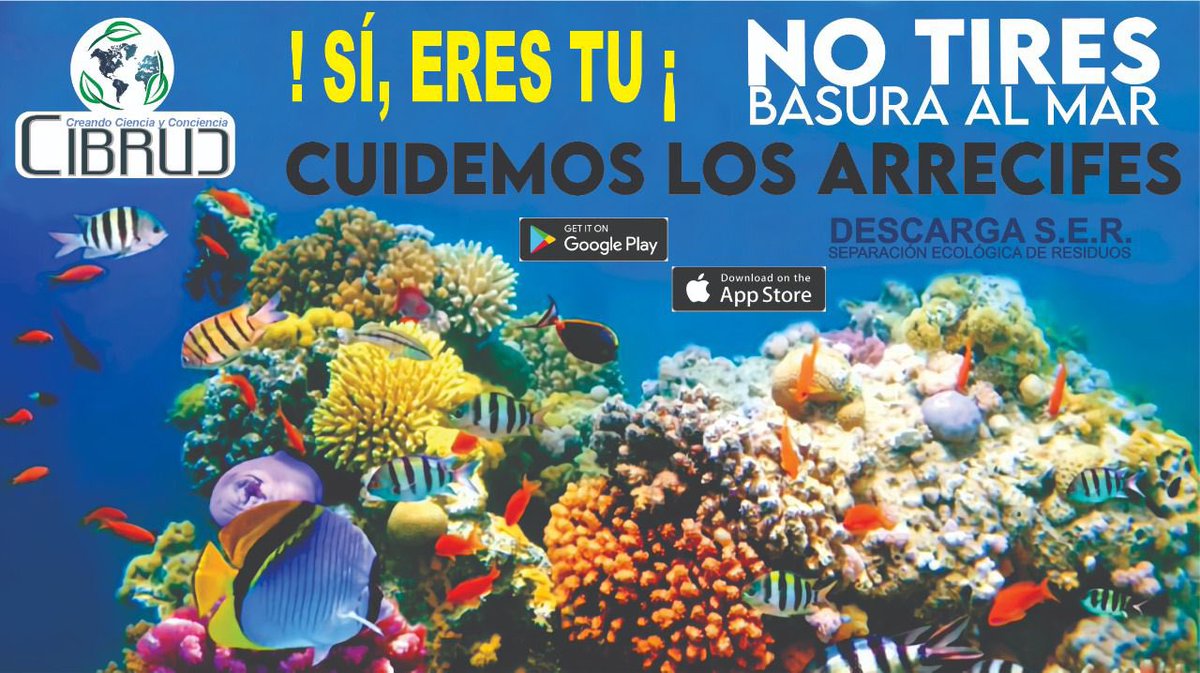 BrisaColin4's tweet photo. @SEGEGO_GobOax  @cibruc https://t.co/RpNCBlxV6X