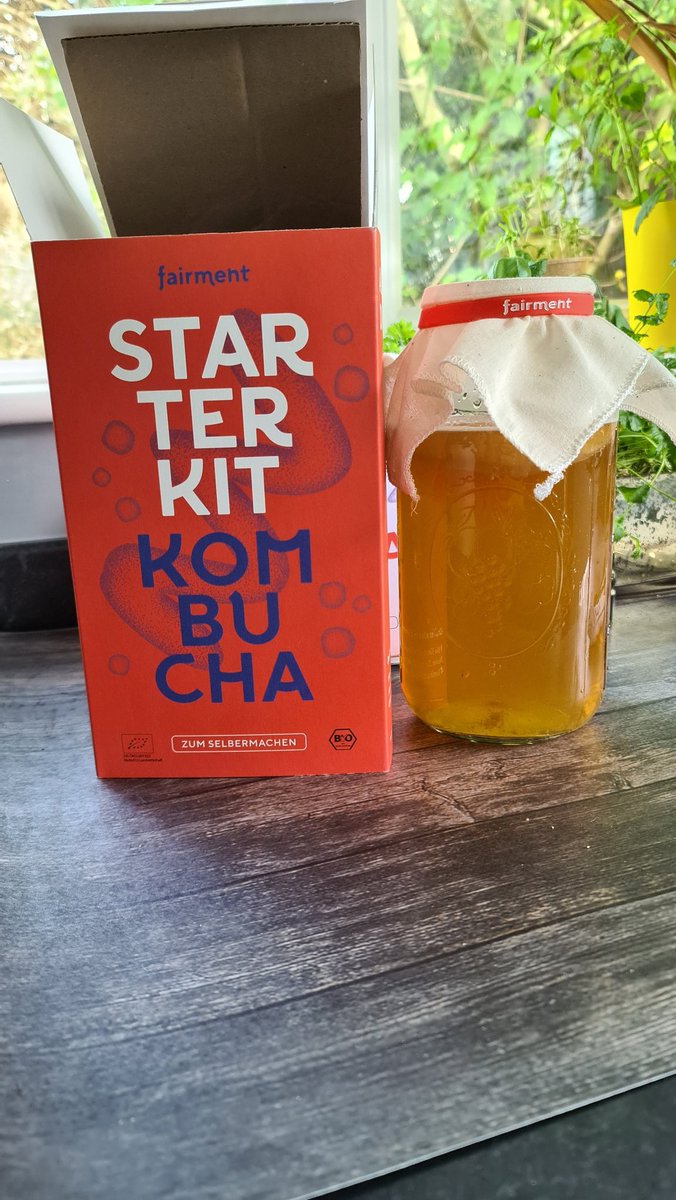 Aaronvegan's tweet image. No Chicken Fillet with Pureed Red Lentils &amp;amp; Sun Dried Tomato.

I've gone a bit posh with this dinner 😆.

I'm brewing my first ever kombucha drink Using @fair_ment kit. Gotta wait 7 days until its ready.

#kombuchakit #vegantwitter #fermentedtea