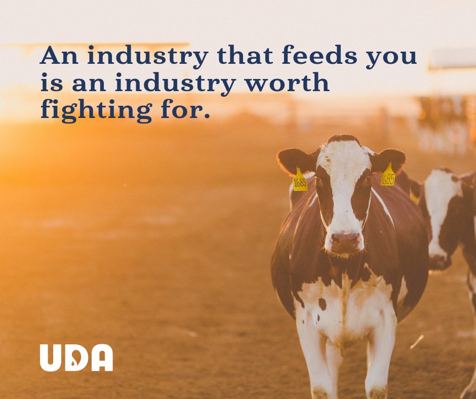 UDAMilk's tweet photo. Celebrate our dairy farmers all month! #DairyMonth #UDAMilk https://t.co/u6buNX47LG