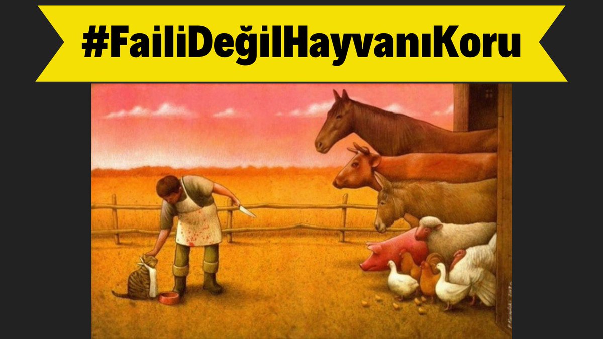 Türcülük bitsin. İnsan, inek ve köpek arasında fark yoktur, hepsi hisseder. Hayvanlar hisseder. 
#FailiDeğilHayvanıKoru