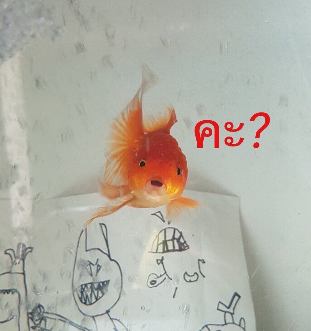 222breadwhile's tweet photo. @jmxdusk00 อยากให้เธอได้บรู้ว เฝ้าดูแล้วเข้าใจก่อน
หากใครทำใจฉันสั่นคลอน
เธอจะรู้สึกหึงและห่วงไหม https://t.co/0kCpra23kD